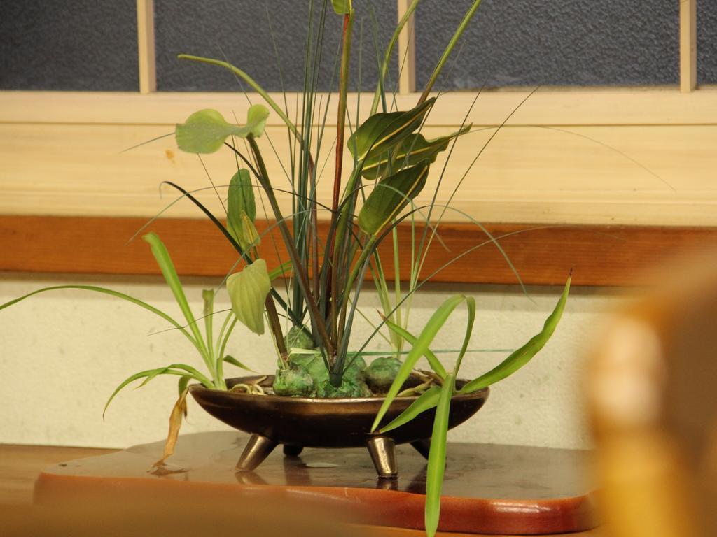 Hatoguruma Kawabata Nozawaonsen Extérieur photo